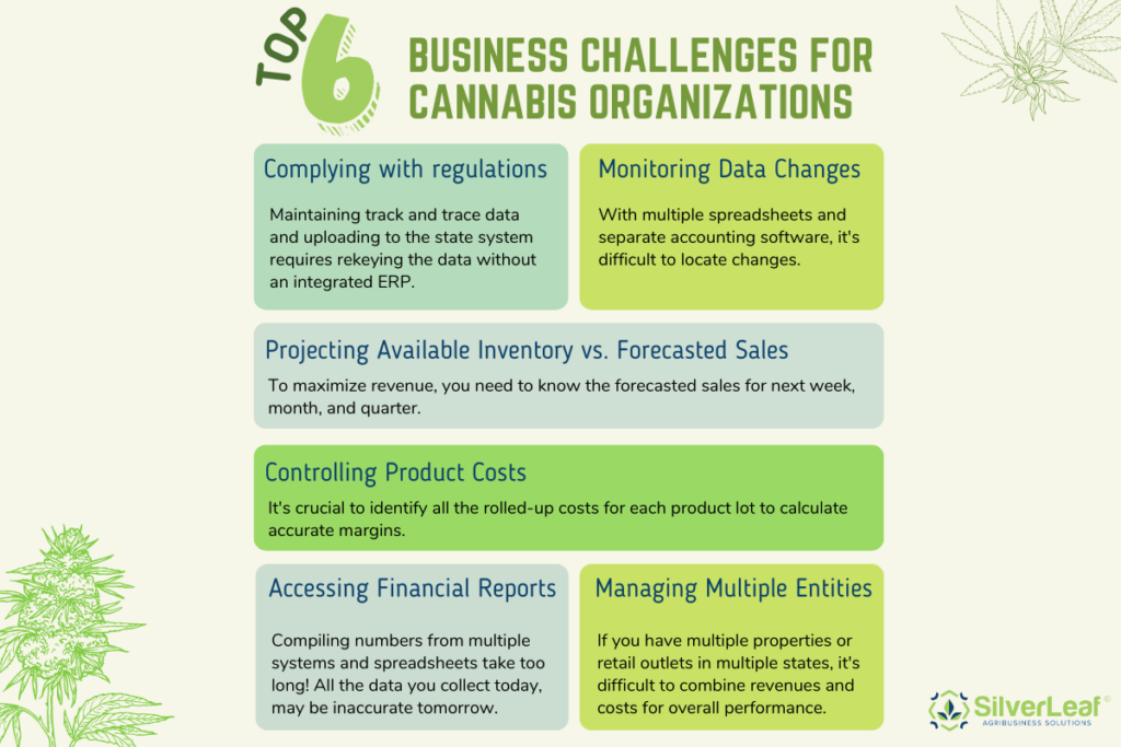 Top 6 Business Challenges for Cannabis Organizations Infographic