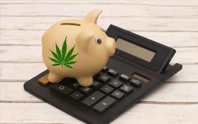 Cannabis calculations